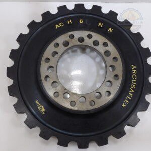 Reich ARCUSAFLEX Flexible coupling and flex disc - ACH 6 NN